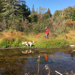 New England K9 Search and Rescue 17