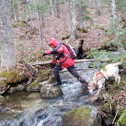 New England K9 Search and Rescue 1