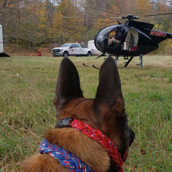 New England K9 Search and Rescue 9