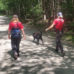 New England K9 Search and Rescue 16