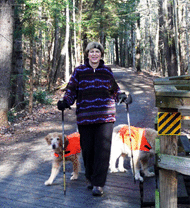 Walker With Dogs Using Ice Spikes On Shoes