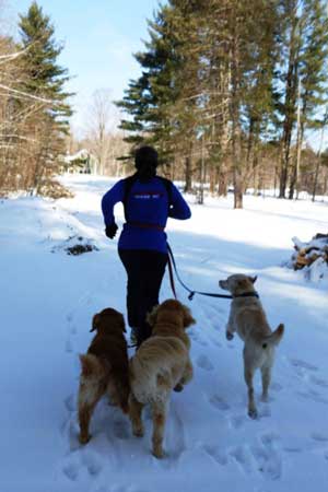 dog walkers